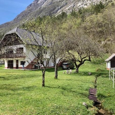 SočaRoja Houseアパートメント エクステリア 写真