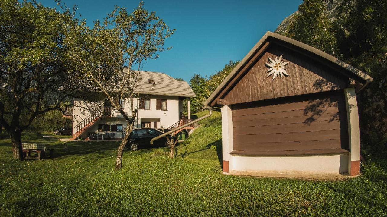 SočaRoja Houseアパートメント エクステリア 写真