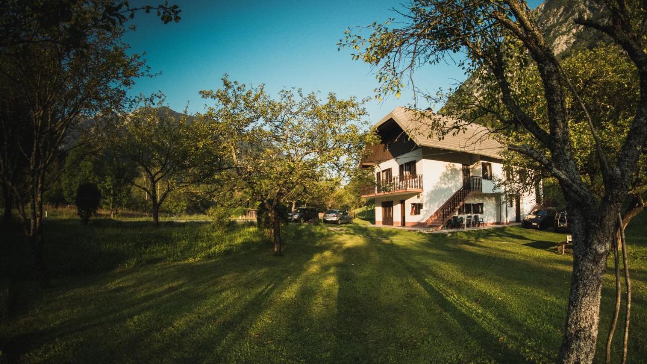 SočaRoja Houseアパートメント エクステリア 写真
