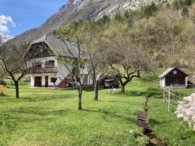 SočaRoja Houseアパートメント エクステリア 写真